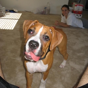 Junior at 5 months...May'05