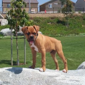King of the World