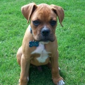 My beautiful baby boy