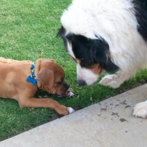 Sure, I'll share with you!
