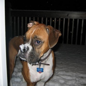 Bailey 3