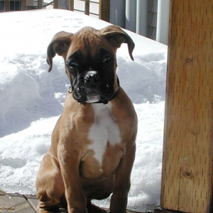 Can I go in now?