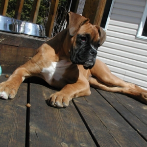 Strike a pose!