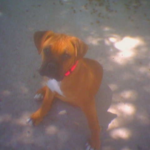 Nala's 1st Day Home