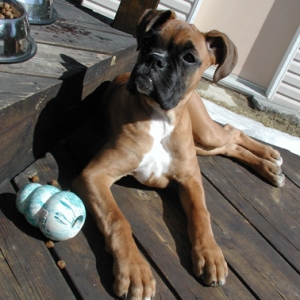 Strike a pose! (16wks)