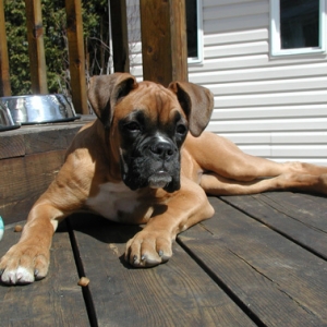 Pose Number 3! (16wks)