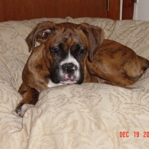 My First Bed