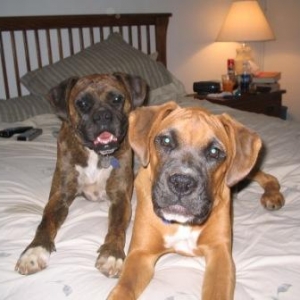 Maggie & Moose Aug 2005