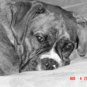 tn_DSC00483