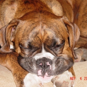 Just Snoozin