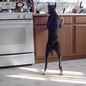 I'm all legs!!