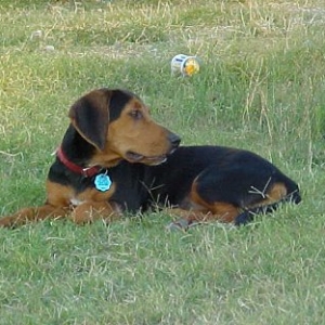 Emma @ 5mo