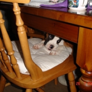 cant quite get up