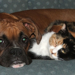 Tyson and Cali