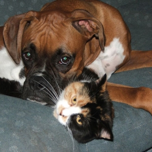 Tyson and Cali