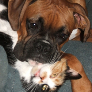 Tyson and Cali