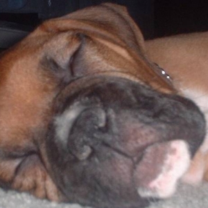 Tuckered Out