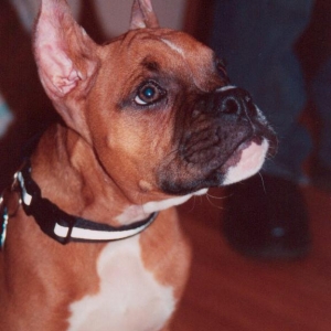 I'm all ears
