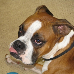 A tongue thing