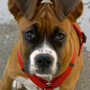 Cutest Picture : )