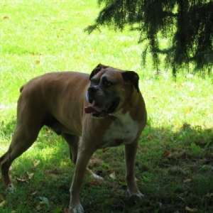 happy_in_the_shade