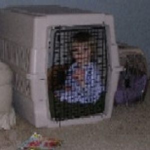 Charlie and Maisy in Kracker's crate