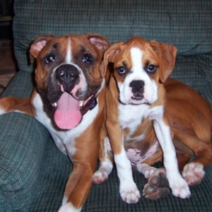 Shadeaux and Shelby in Daddy's recliner
