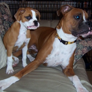 Shadeaux and Shelby
