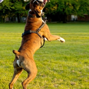 in action