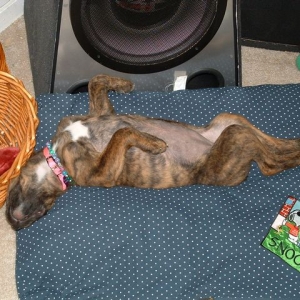 all tuckerd out