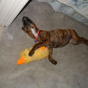 her baby