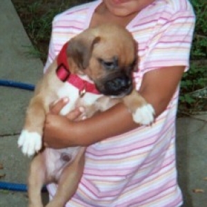 Gunner and my niece