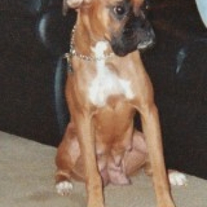 Gunner's mom, penny