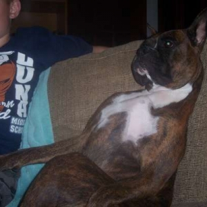 Don't be scared my human... I am here
