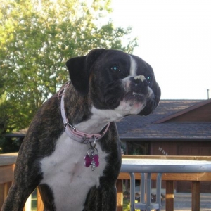 There's sumfin stuck on my nose