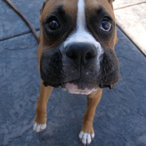 Silly face =)