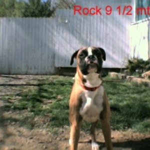 Rock