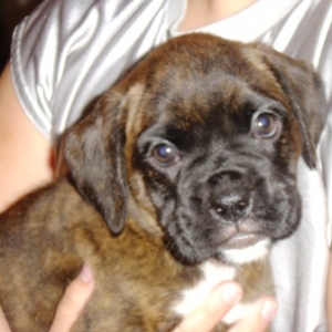 Laila at 7 weeks