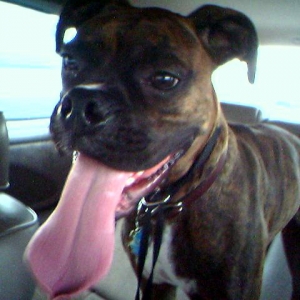 bella1yr_02