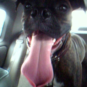 bella1yr