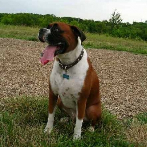 mr. bailey at park ...poser.. !