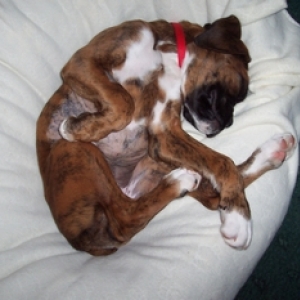 All legs and fast asleep