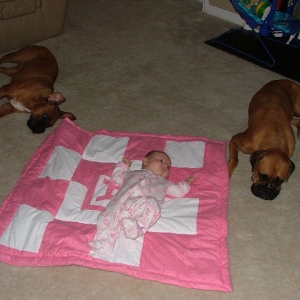 guard dogs