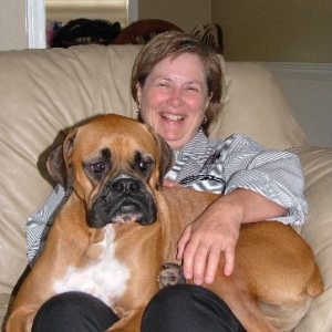 overgrown lapdog