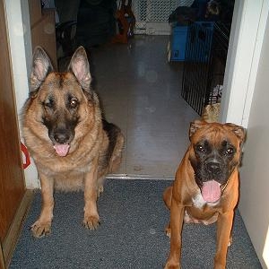 Brandy and Cinnamon