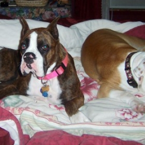 Look......I'm ready for bed