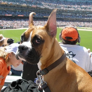 SF Giants vs Houston Astros @ SBC Park