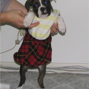 All dressed up!