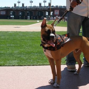 Parading around SBC baseball field before the game.