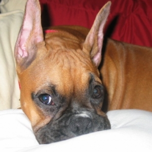 What chu lookin at?